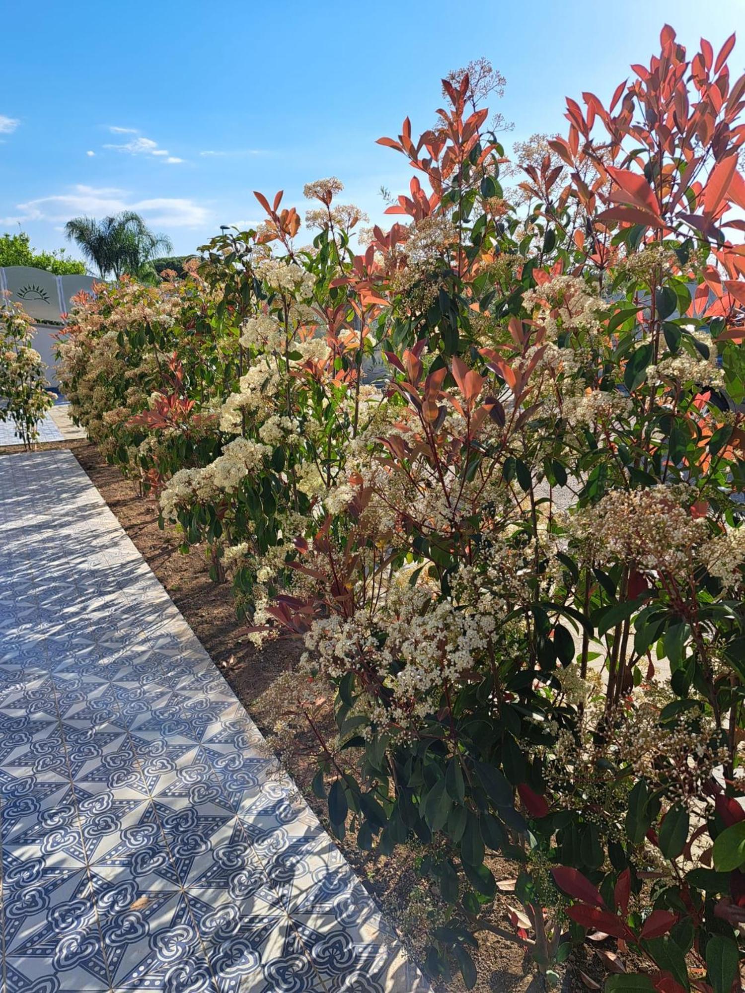 Paoma Bed & Breakfast Agropoli Exterior photo
